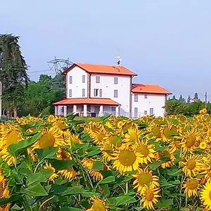 La Collinetta Couette-café
